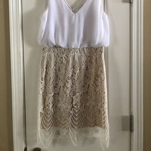 Venus Lace Detail Dress (10)